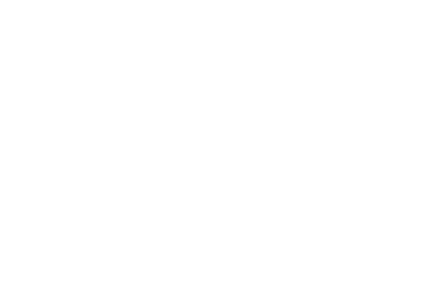 Карпатська Форель, приватна садиба